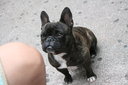 gal/cro 08/_thb_small-IMG_5063.JPG